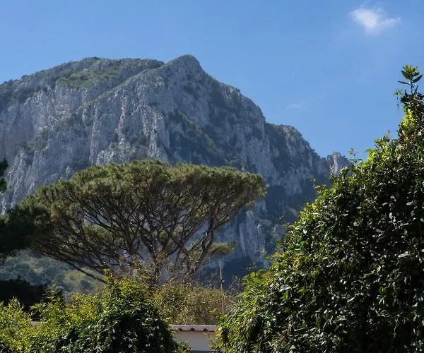 Il Sorriso Di Bri * Capri